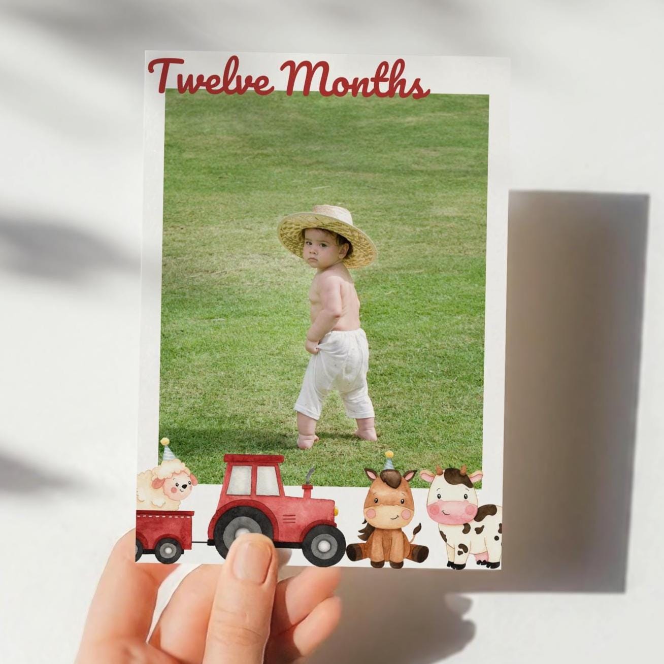 Farm Animal Birthday Banner - Farm Birthday Photo Banner - Digital Download