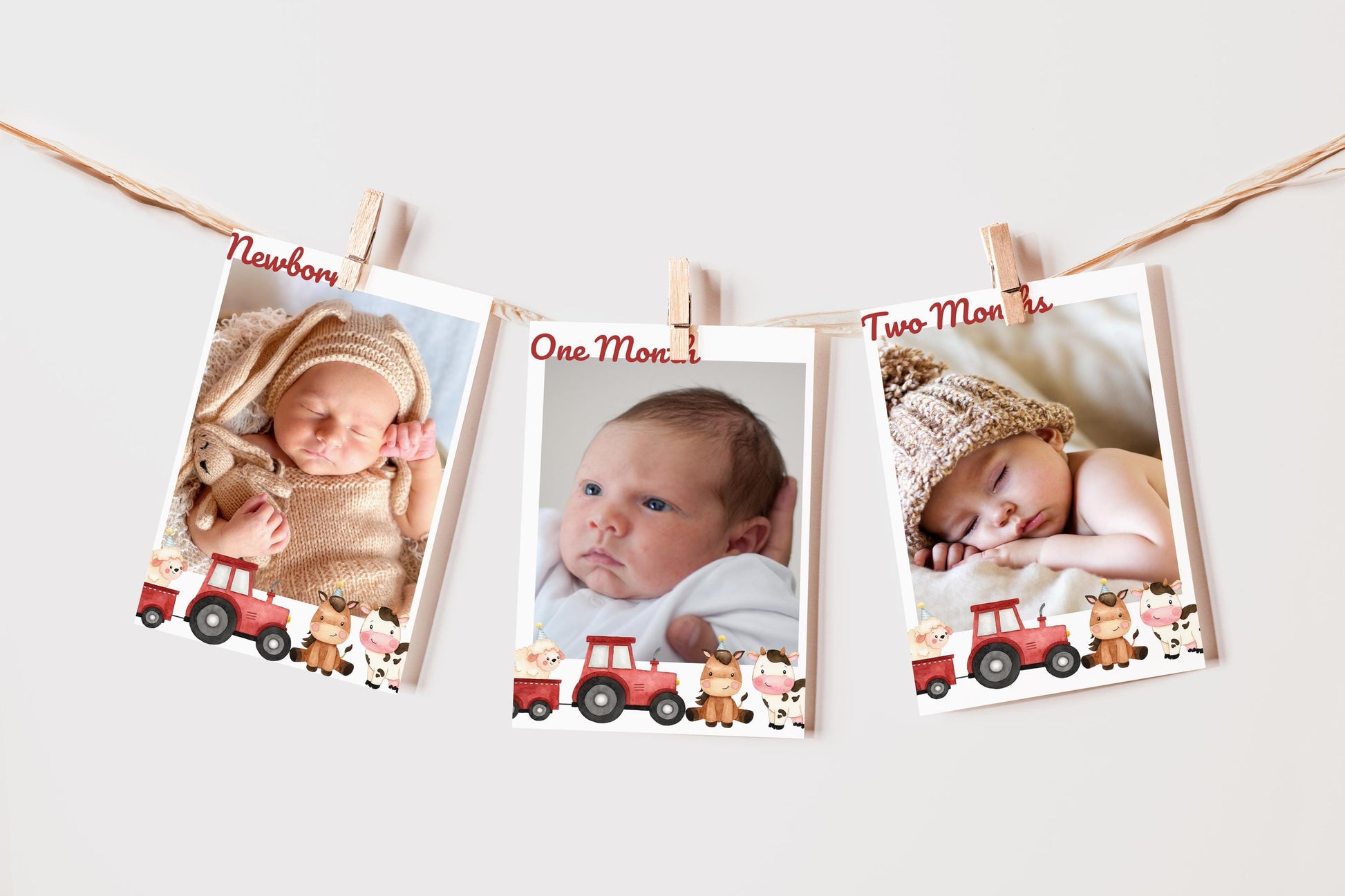 Farm Animal Birthday Banner - Farm Birthday Photo Banner - Digital Download